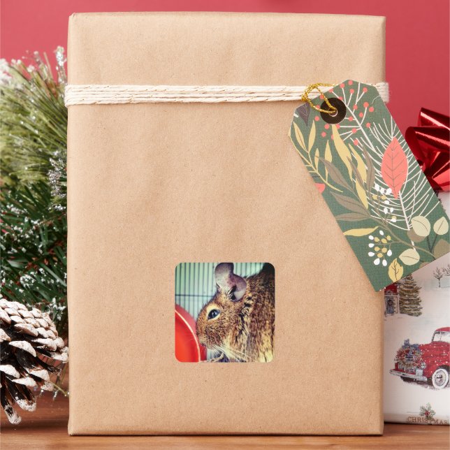 Adesivo Quadrado Chinchilla (Feriado)