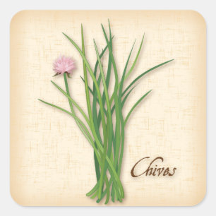 Adesivo Quadrado Chives Herb Square Sticker