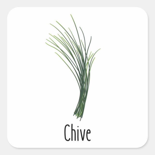 Adesivo Quadrado Chives Spices Herbs (Frente)