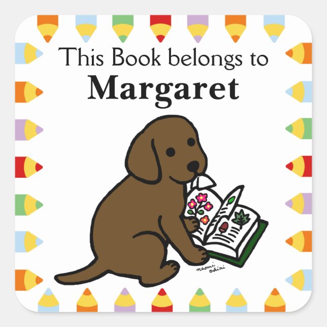 Adesivo Quadrado Chocolate Curioso Labrador Puppy (Frente)