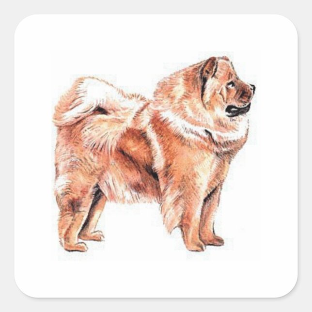 Adesivo Quadrado Chow Chow Red (Frente)