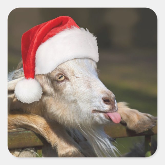 Adesivo Quadrado Christmas Goat (Frente)