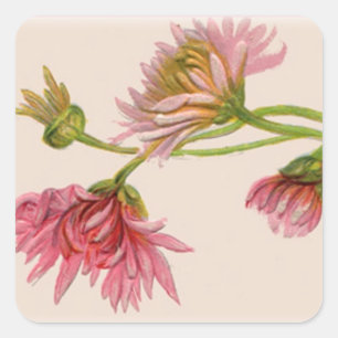 Adesivo Quadrado Chrysanthemum - Sticker