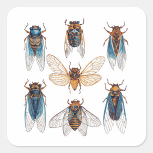Adesivo Quadrado Cicadas Engraçadas Inseto Bug Gráfico Amante de Ci