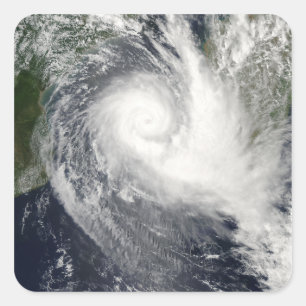 Adesivo Quadrado Ciclo tropical Boloetse