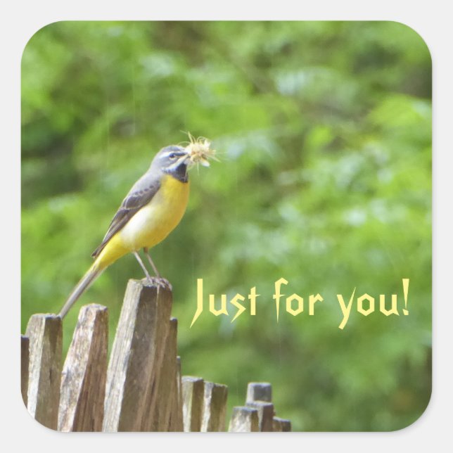 Adesivo Quadrado Cinza (Frente)