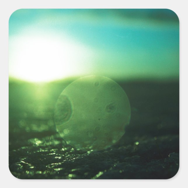 Adesivo Quadrado Circle in Square - medium format analog Hasselblad (Frente)