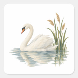 Adesivo Quadrado Cisne Entre Juncos da Lagoa