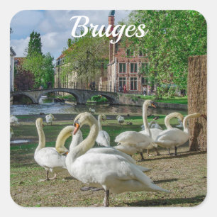Adesivo Quadrado Cisnes brancas de Bruges