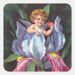Adesivo Quadrado Clapsaddle: Íris do querubim da flor