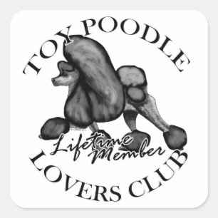 Adesivo Quadrado Clube de Amantes de Toy Poodle Black
