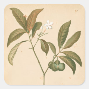 Adesivo Quadrado Cobalt Deco Painel I