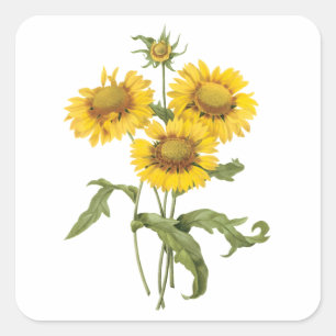 Adesivo Quadrado Cobertura Floral Vintage Flor de Cobertura Girasso