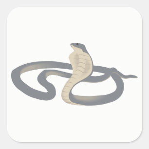 Adesivo Quadrado Cobra