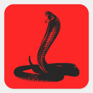 Adesivo Quadrado Cobra - preto
