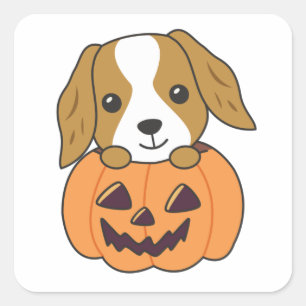 Adesivo Quadrado Cocker Spaniel Pumpkin Cute Dogs Feliz Halloween S
