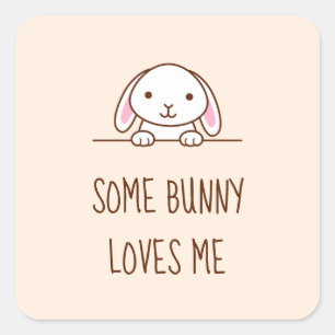 Adesivo Quadrado Coelho Engraçado Pequim acima da Cotação