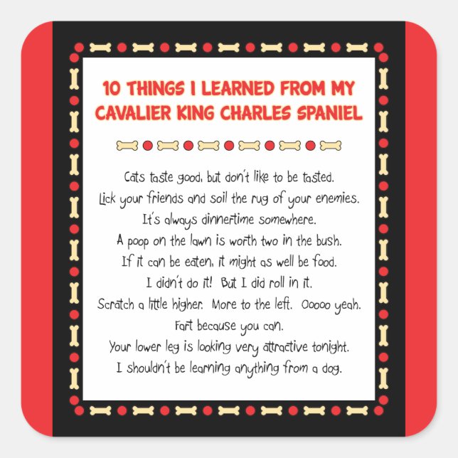 Adesivo Quadrado Coisas Engraçadas Que Aprendi Com O Cavaleiro Rei  (Frente)