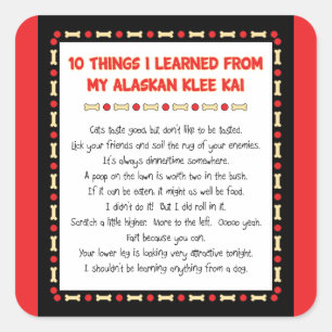 Adesivo Quadrado Coisas Engraçadas Que Aprendi Com O Meu Alaskan Kl