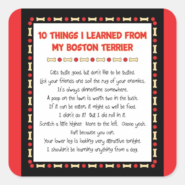 Adesivo Quadrado Coisas Engraçadas Que Aprendi Com O Meu Terrier De (Frente)