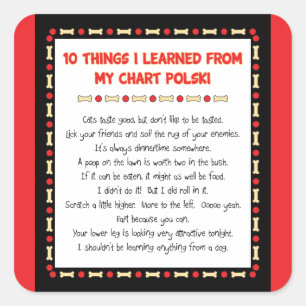 Adesivo Quadrado Coisas Engraçadas Que Aprendi No Meu Gráfico Polsk