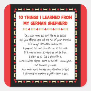 Adesivo Quadrado Coisas que engraçadas eu aprendi de meu german