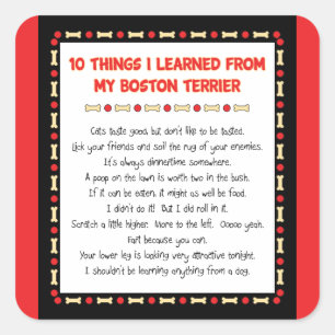 Adesivo Quadrado Coisas que engraçadas eu aprendi de minha Boston