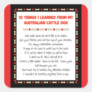 Adesivo Quadrado Coisas que engraçadas eu aprendi do cão