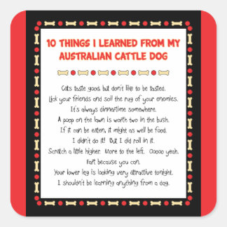 Adesivo Quadrado Coisas que engraçadas eu aprendi do cão