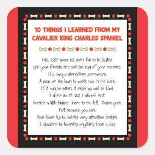 Adesivo Quadrado Coisas que engraçadas eu aprendi do rei descuidad