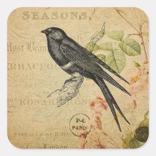 Adesivo Quadrado Colagem floral do pássaro bonito da andorinha do