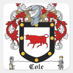 Adesivo Quadrado Cole-Irish-Crest