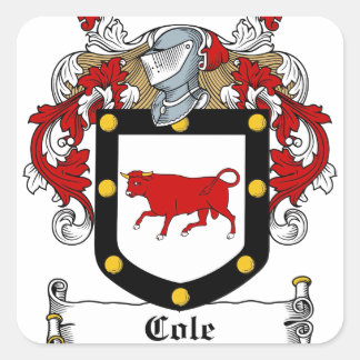 Adesivo Quadrado Cole-Irish-Crest