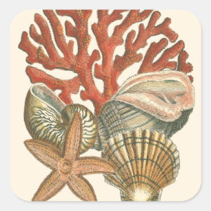 Adesivo Quadrado Coleção Sealife