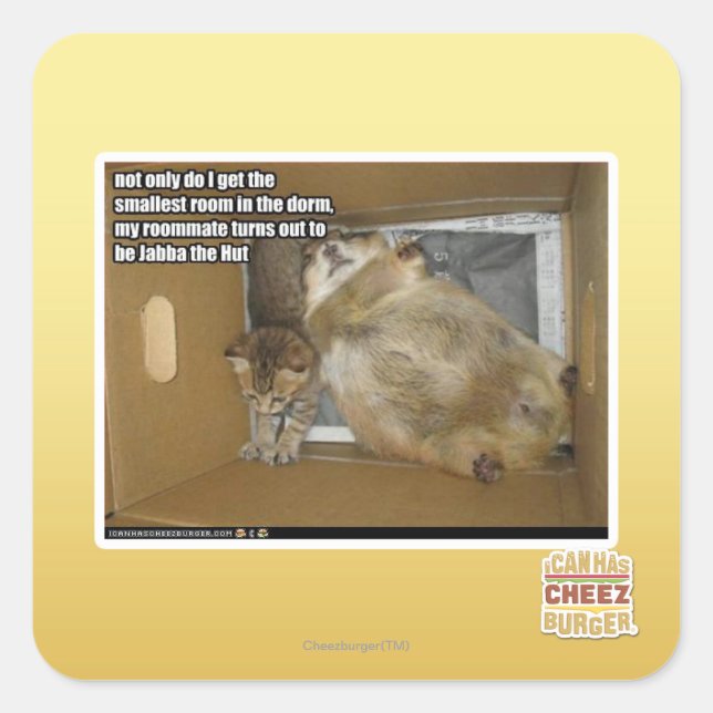 Adesivo Quadrado Colega de quarto de gordura (Frente)