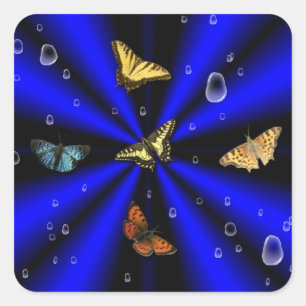 Adesivo Quadrado Colírio e borboleta a preto e azul