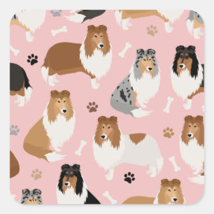 Adesivo Quadrado Collie Paws e Bones Square Sticker