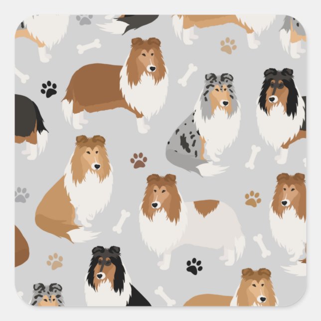 Adesivo Quadrado Collie Paws e Bones Square Sticker (Frente)