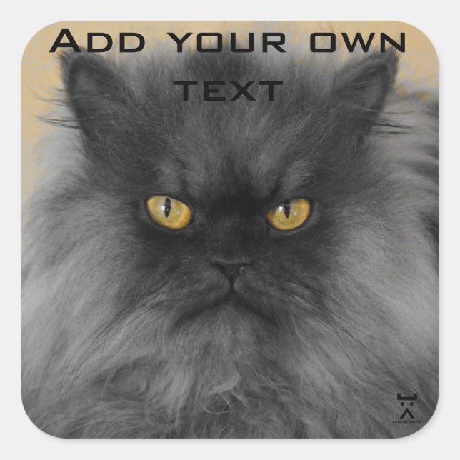 Adesivo Quadrado Coloque-o no seu... (Frente)