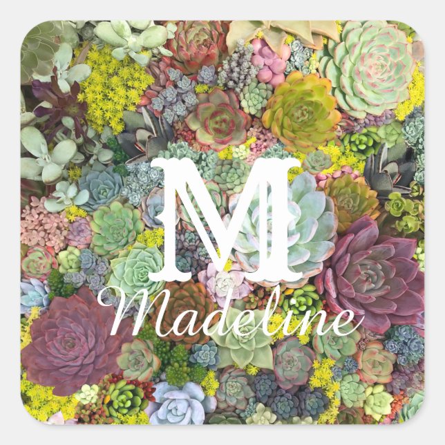 Adesivo Quadrado Colorida Greenerent Succulents (Frente)