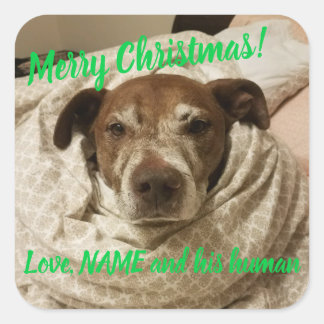 Adesivo Quadrado Com a Bullet do Amor e o Seu Humano