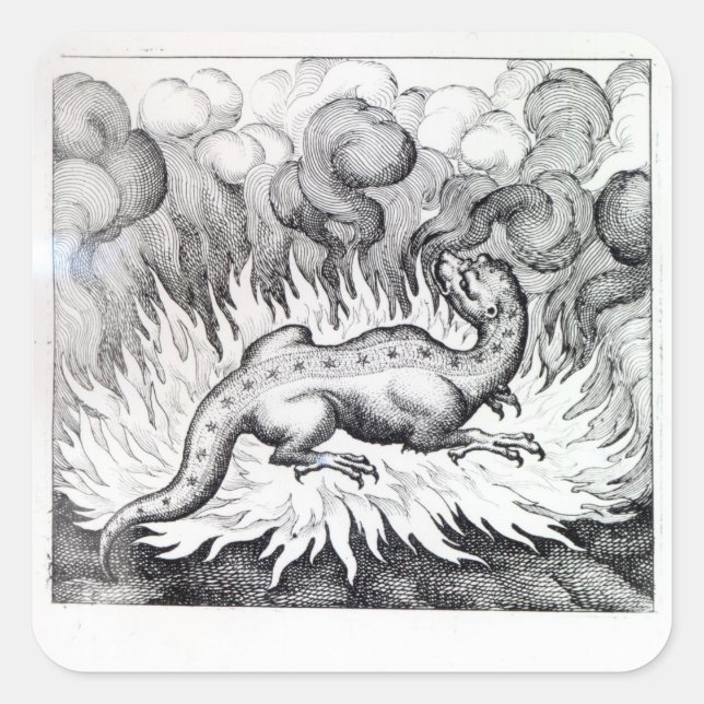 Adesivo Quadrado Como a Salamander vive em chamas (Frente)