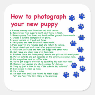 Adesivo Quadrado Como fotografar seu novo cachorrinho