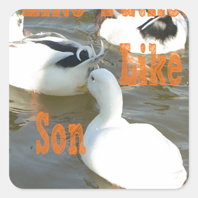 Adesivo Quadrado Como Pai Como Filho. (Frente)