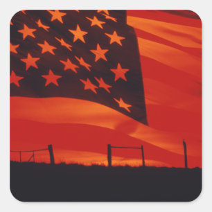 Adesivo Quadrado Composto de Digitas da bandeira americana