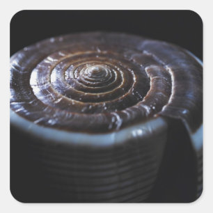 Adesivo Quadrado Concha de Cone