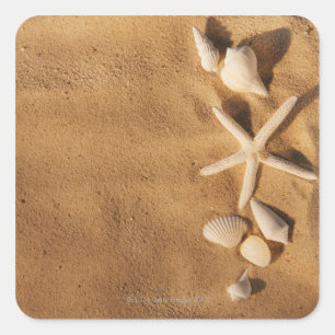 Adesivo Quadrado Conchas marítimas na areia