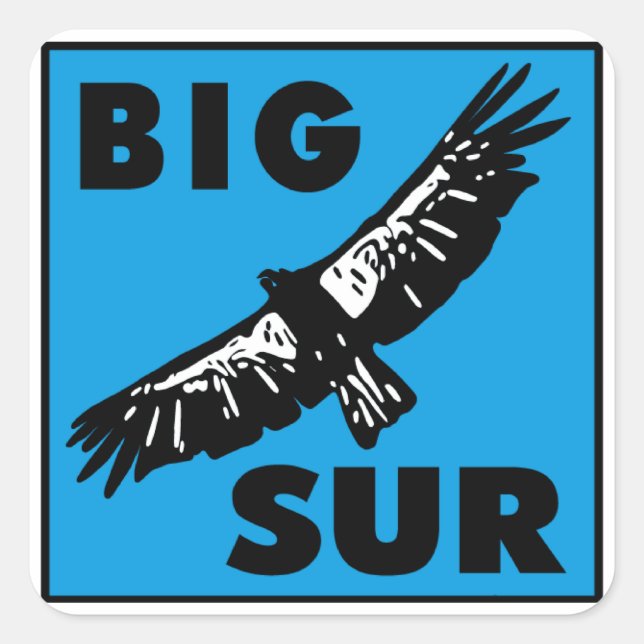 Adesivo Quadrado Condor Azul (Frente)