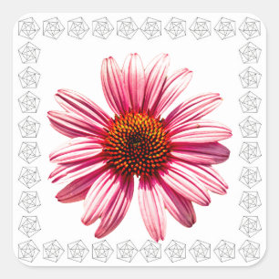 Adesivo Quadrado Coneflower