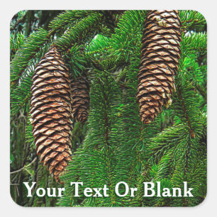 Adesivo Quadrado Cones E Agulhas